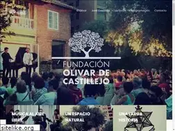 Sites similar to fundacionolivardecastillejo.org
