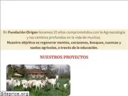 Sites similar to fundacionorigen.cl