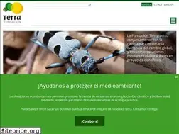 Sites similar to fundaciontierra.es