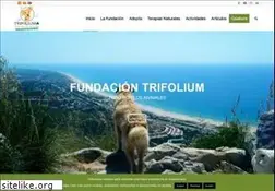 Sites similar to fundaciontrifolium.org