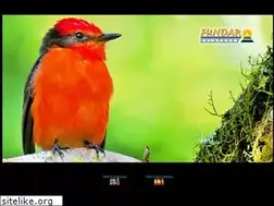 Sites similar to fundargalapagos.org