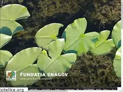Sites similar to fundatiasnagov.ro
