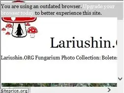 Sites similar to fungarium.info