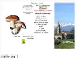 Sites similar to fungoceva.it