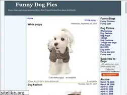 Sites similar to funny-dog.blogspot.com