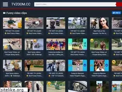 Sites similar to funny-video-online.com
