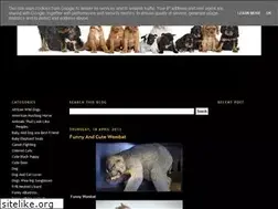 Sites similar to funnyanimalsa2z.blogspot.com