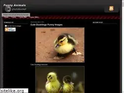 Sites similar to funnyanimalz-90.blogspot.com