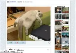 Sites similar to funnycatworld.com