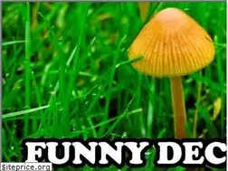 Sites similar to funnydecalstickers.com