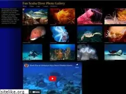 Sites similar to funscubadiver.com