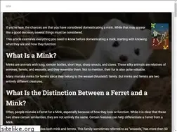 Sites similar to furetti.net