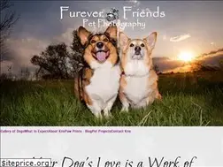 Sites similar to fureverfriendsphotos.com
