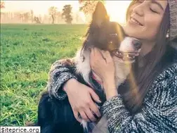 Sites similar to fureverfriendstx.com