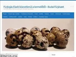 Sites similar to furjtojas.com