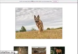 Sites similar to furryfriendsphotography.com