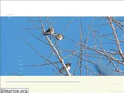 Sites similar to futatsuboshi.net