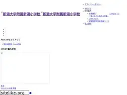 Sites similar to fuzoku-niigata.jp