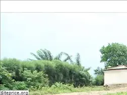 Sites similar to fxbrwanda.org