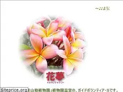 Sites similar to g-kamu.com