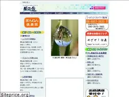 Sites similar to g-kaze.com
