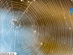 Sites similar to g2web.com