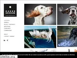 Sites similar to gaborgeissler.com