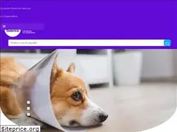 Sites similar to gabrica.pe