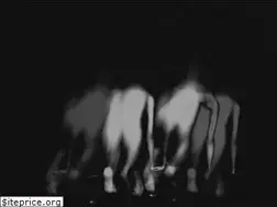 Sites similar to gabrieloshea.com