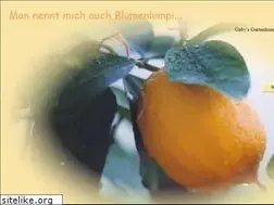 Sites similar to gabyrottmann.de
