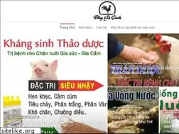 Sites similar to gacanhdep.com