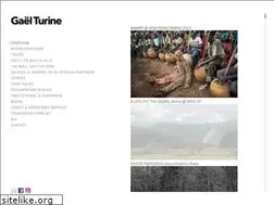 Sites similar to gaelturine.com