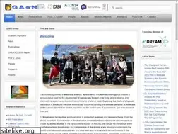 Sites similar to gaen.cat