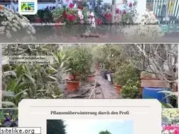Sites similar to gaertnerei-onlineshop.de