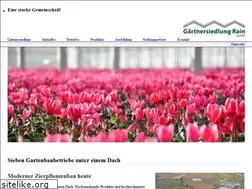 Sites similar to gaertnersiedlung-rain.de