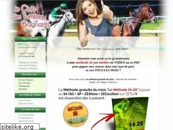 Sites similar to gagnerauturf.net