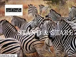 Sites similar to gailnoglephoto.com