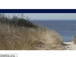 Sites similar to gailwilsey.com