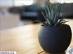 Sites similar to gainerstoday.com