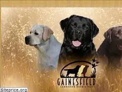 Sites similar to gainesfieldretrievers.com