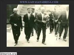 Sites similar to gaitasanabresa.com