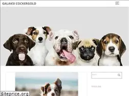 Sites similar to galaksi-cockergold.dk