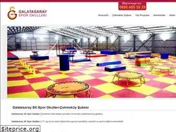 Sites similar to galatasaraysporokullari.com