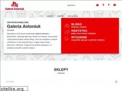 Sites similar to galeria-antoniuk.pl