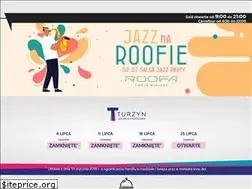 Sites similar to galeria-turzyn.pl