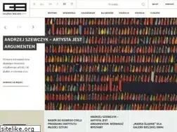 Sites similar to galeriabielska.pl