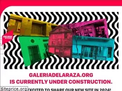 Sites similar to galeriadelaraza.org