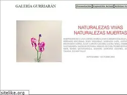 Sites similar to galeriagurriaran.com