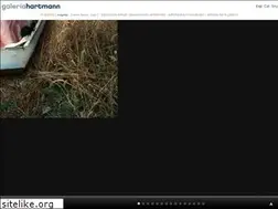 Sites similar to galeriahartmann.com