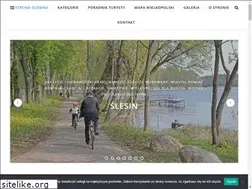 Sites similar to galeriawielkopolska.info